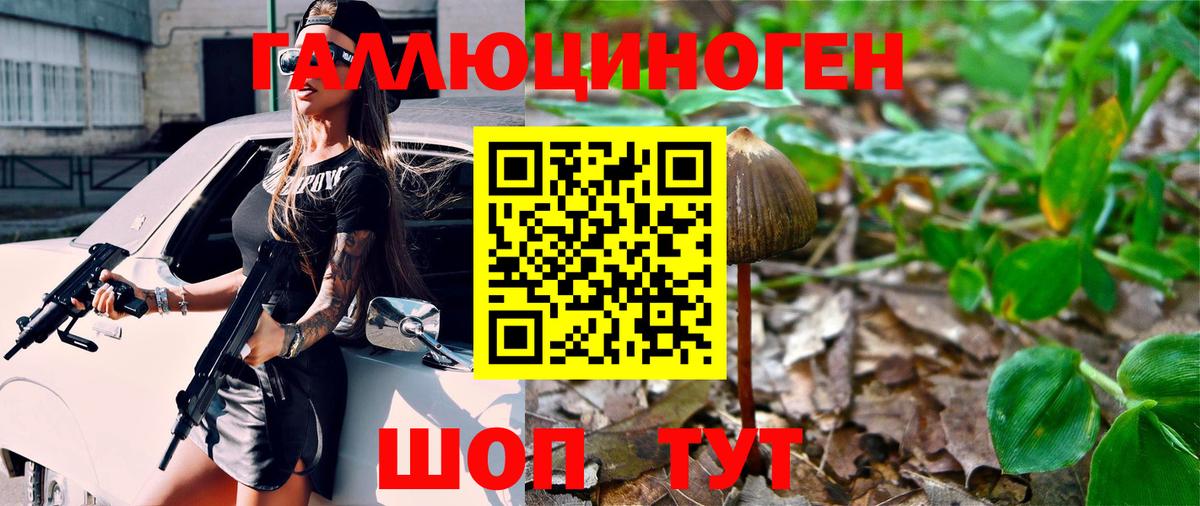 Жигулёвск  Псилоцибиновые грибы Cubensis  Псилоцибиновые грибы прущие грибы  Вход с VPN 